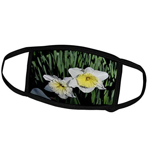 3dRose WhiteOak Photography Daffodils - Yellow and White Daffodils - Face Covers -fc_40681_3- 3dRose WhiteOak Photography Daffodils - Yellow and White Daffodils - Face Covers -fc_40681_3-