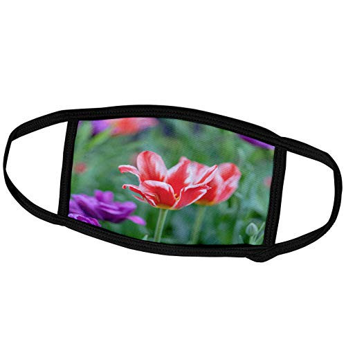3dRose Red and White Decorative Tulip Flower Against The Green. - Face Covers -fc_273848_2-