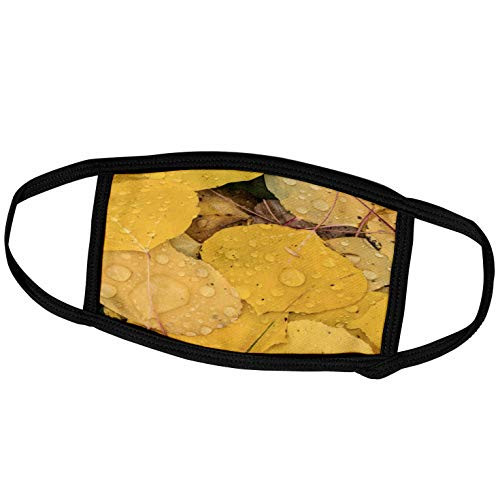 3dRose Pattern of Fallen Yellow Aspen Leaves San Juan Mountains. - Face Covers -fc_278689_3-