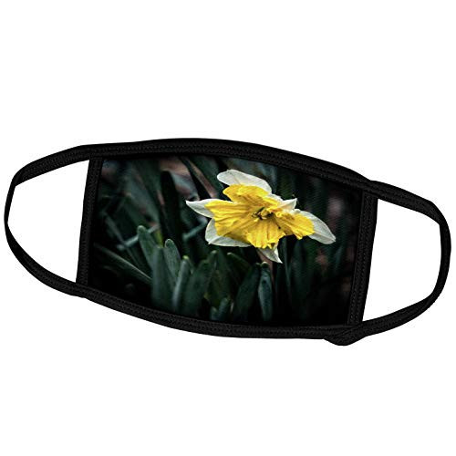 3dRose Boehm Photography Flower - White and Yellow Flowers - Face Covers -fc_127510_2- 3dRose Boehm Photography Flower - White and Yellow Flowers - Face Covers -fc_127510_2-