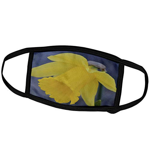 3dRose Yellow Daffodil Flower- Spring Photography - Face Covers -fc_48594_2- 3dRose Yellow Daffodil Flower- Spring Photography - Face Covers -fc_48594_2-