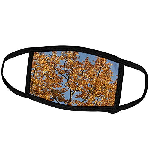 3dRose Yellow Leaves of an Aspen Tree Against The Background of The. - Face Covers -fc_327926_1-