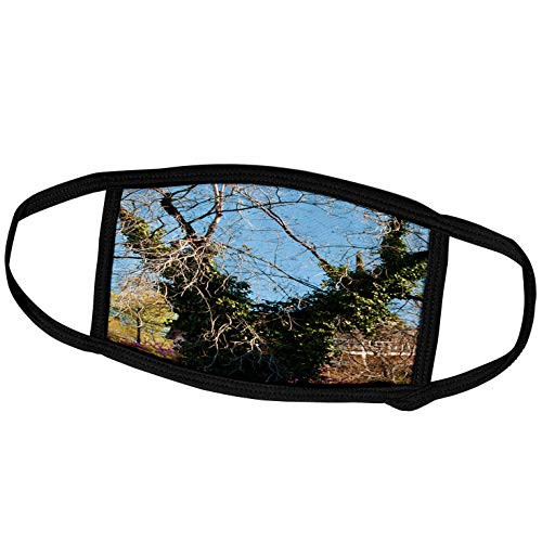 3dRose an Old Old Tree with Green Vines Growing Up it in St. George. - Face Covers -fc_48446_3-