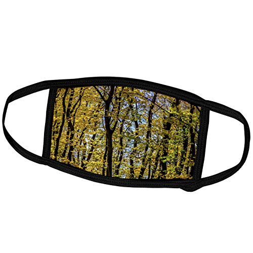 3dRose Old Maple Trees Yellow and Green Foliage Soft Blue Sky - Face Covers -fc_267340_2-