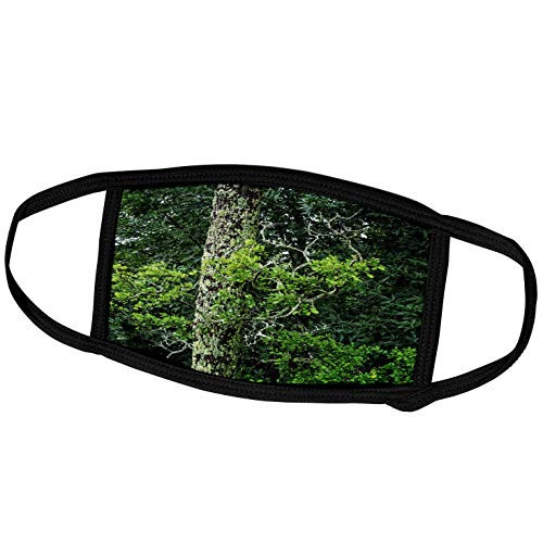 3dRose Boehm Photography Landscape - Shades of Green - Face Covers -fc_218929_2- 3dRose Boehm Photography Landscape - Shades of Green - Face Covers -fc_218929_2-