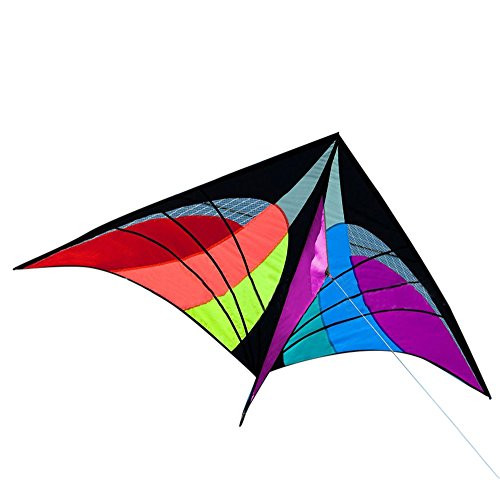 BiuBuy New Stunt Power Kite Outdoor Sport Toys Novelty Dual Line Delta Kite