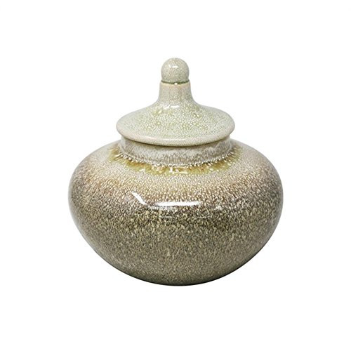 Sagebrook Home 13406-01 Ceramic Jar, 11.75" x 11.75" x 11.75" Yellow/Gray Sagebrook Home 13406-01 Ceramic Jar, 11.75" x 11.75" x 11.75" Yellow/Gray