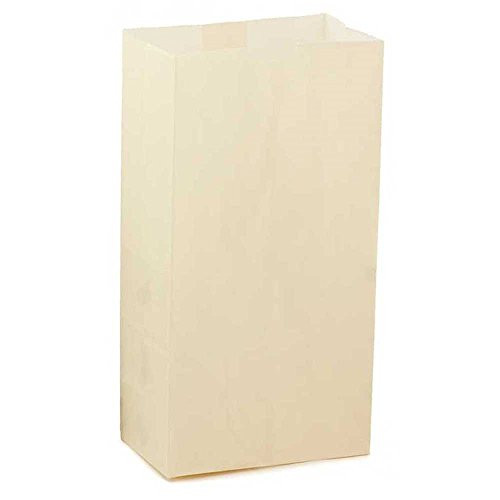 Hygloss Products Cream Paper Bags  For Party Favors Arts Crafts 3 x 5 x 9.75 Inch 100 Pack