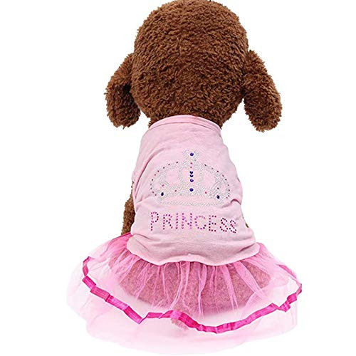 XiangYue SISAVE Small Dog Girl DressPet Flower Princess Skirt ClothesPuppy Cat Cute Lace Tutu Dresses -X-Small Pink 1- XiangYue SISAVE Small Dog Girl DressPet Flower Princess Skirt ClothesPuppy Cat Cute Lace Tutu Dresses -X-Small Pink 1-