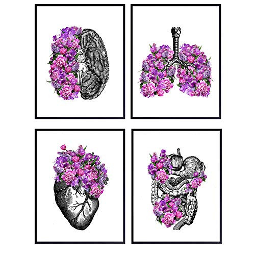 Shabby Chic Vintage Organs Wall Art Decor Set - 8x10 Upcycled Dictionary Goth Steampunk Gift for Nurse Doctor Physician Med Student PA - Anatomy Posters for Dr Office Medical Clinic