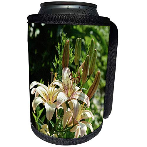 3dRose Beverly Turner Flora Photography - Beautiful Day Lilies Cream Yellow Red Green - Can Cooler Bottle Wrap -cc_254457_1-