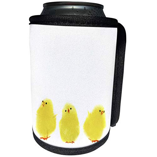 3dRose Henrik Lehnerer Designs - Animal - Three little yellow Easter chicken singing - Can Cooler Bottle Wrap -cc_221467_1-