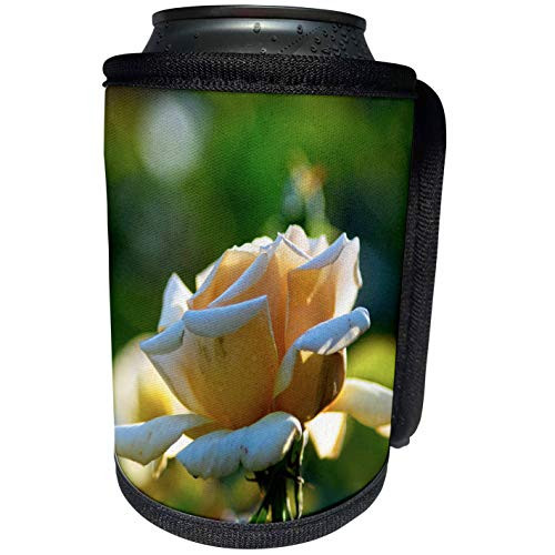 3dRose Alexis Photography - Flowers Rose - Elegant yellow rose flower. Drops of water on petals. Green backdrop - Can Cooler Bottle Wrap -cc_297298_1- 3dRose Alexis Photography - Flowers Rose - Elegant yellow rose flower. Drops of water on petals. Green backdrop - Can Cooler Bottle Wrap -cc_297298_1-