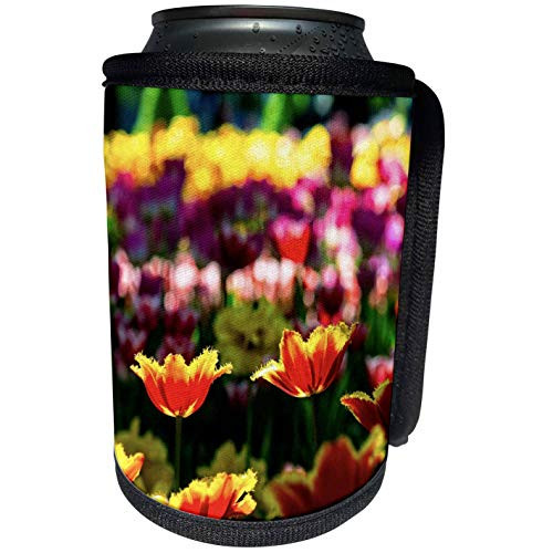 3dRose Alexis Photography - Flowers Tulips - Red yellow tulips purple yellow green backdrop of a flowerbed - Can Cooler Bottle Wrap -cc_288832_1- 3dRose Alexis Photography - Flowers Tulips - Red yellow tulips purple yellow green backdrop of a flowerbed - Can Cooler Bottle Wrap -cc_288832_1-