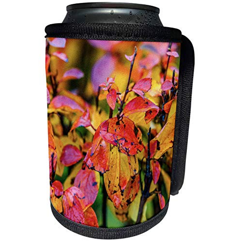 3dRose Alexis Photography - Seasons Autumn - Orange and yellow cotoneaster leaves green background - Can Cooler Bottle Wrap -cc_267294_1-