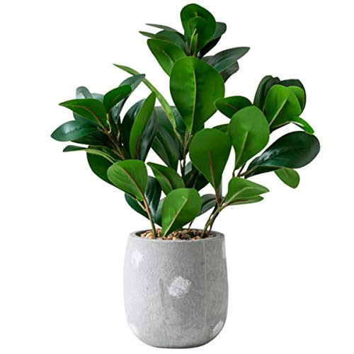 Artificial Plants?Fake Plant Indoor Artificial Potted Plants Artificial Plants In Pots For Home Decor Indoor Used For Home Office Decoration Artificial Fake Plants Green Plants -Watercress leaf- Artificial Plants?Fake Plant Indoor Artificial Potted Plants Artificial Plants In Pots For Home Decor Indoor Used For Home Office Decoration Artificial Fake Plants Green Plants -Watercress leaf-