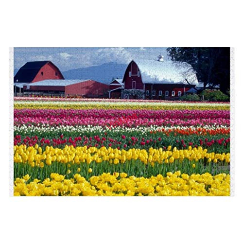 300 Pieces Jigsaw Puzzles Tulip Display Field Fun Puzzle Educational Family Game Toys Gift for Adults Teens