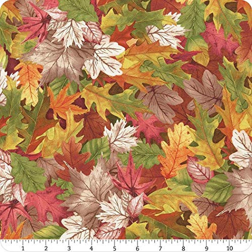 Timeless Treasures Happy Fall Yall Leaves Nature Premium Quality 100 percent Cotton Sold by The Yard.