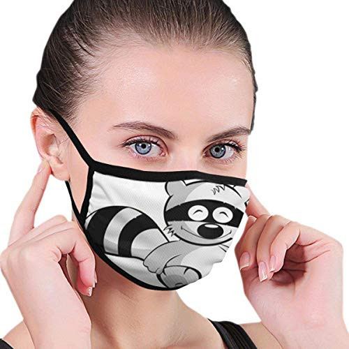 Fillter Cloth For adult and kidsCute Cartoon Raccoon?Reusable Windproof Cloth Half Face Double Protection