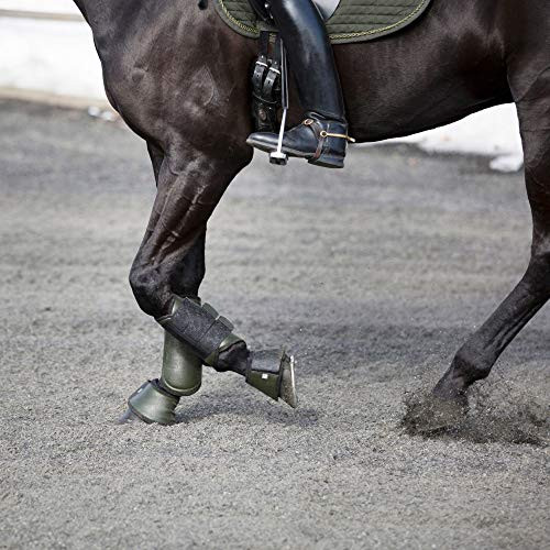 HORZE Parker Bell Boots Forest Night Green L