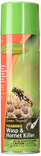Green Thumb Foaming Wasp and Hornet Spray  17.5 oz