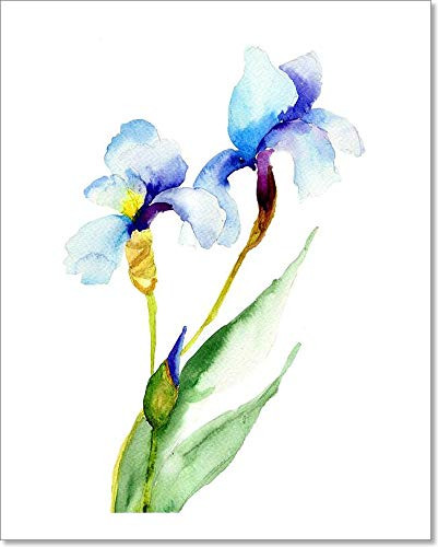 Barewalls Iris Flowers Paper Print Wall Art -10in. x 8in.-