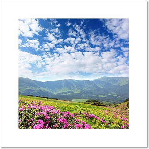 Barewalls Flower Paper Print Wall Art - fa16187716 -4in. x 4in.-