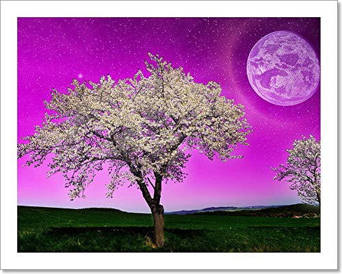 Barewalls Fantasy Night Landscape Paper Print Wall Art -8in. x 10in.-