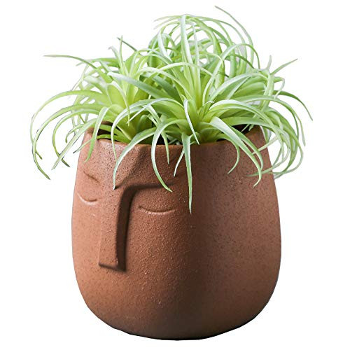 Head Flower Pot Face Shape Panter Pot Head Shape Orchid Pot Indoor Head Flower Pots for Plants  Indoor Garden Planters Pots with Drainage Holes -Brown-