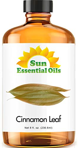 Cinnamon Leaf Essential Oil -Huge 8oz Bottle- Bulk Cinnamon Leaf Oil - 8 Ounce