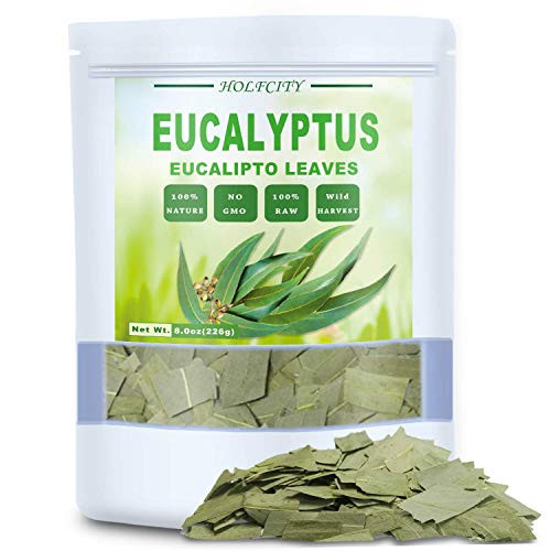 100 percent Natural Dried Eucalyptus Leaves Eucalyptus Herbal Tea Cut and Shifted Bulk Bag -8 oz- 100 percent Natural Dried Eucalyptus Leaves Eucalyptus Herbal Tea Cut and Shifted Bulk Bag -8 oz-