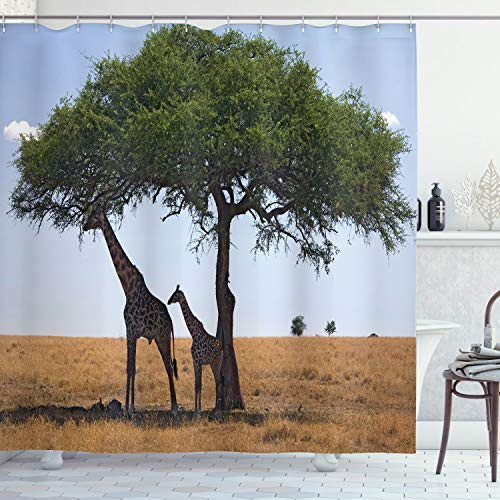 Ambesonne Safari Shower Curtain Baby and Mom Giraffe Under The Tree The Tallest Animal Mammal in Savannah Nature Art Cloth Fabric Bathroom Decor Set with Hooks 75 inch Long Olive Green