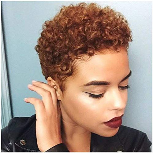 Naseily Short Brown Afro Curly Wigs for Black Women Natural Curly Synthetic Wigs for Black Women Short Hairstyles Curly Hair Naseily Short Brown Afro Curly Wigs for Black Women Natural Curly Synthetic Wigs for Black Women Short Hairstyles Curly Hair