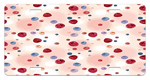 Ambesonne Peach License Plate Raspberries Blueberries Cranberries Food Themed Design with Abstract Circle Backdrop High Gloss Aluminum Novelty Plate 5.88 inch X 11.88 inch Multicolor