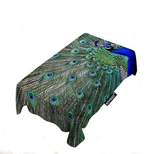 AOYEGO Peacock Table Cloths Rectangle Bird Feather Nature Beautiful Round Circle Dot Grid Mesh Striped Head Tablecloths Decoration 52x70 Inch Polyester for Outdoor Indoor Home Party Picnic