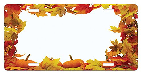 Lunarable Thanksgiving License Plate Dry Autumn Leaves and Ripe Pumpkins Seasonal Frame on White Backdrop High Gloss Aluminum Novelty Plate 5.88 inch X 11.88 inch Orange Yellow White