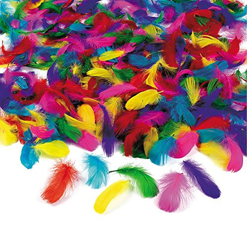 Feather Assortment -600Pcs- - Crafts for Kids and Fun Home Activities