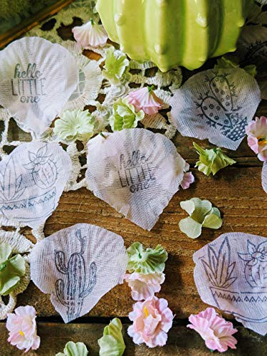Cactus Baby Shower Succulent Baby Shower Baby Shower Decorations for Girl Cactus Confetti