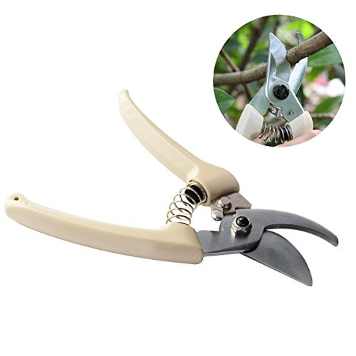 TOPgift Professional Sharp Bypass Pruning Shears(SK5),Tree Trimmers Secateurs,Hand Pruner, Garden Shears,Clippers for the Garden.