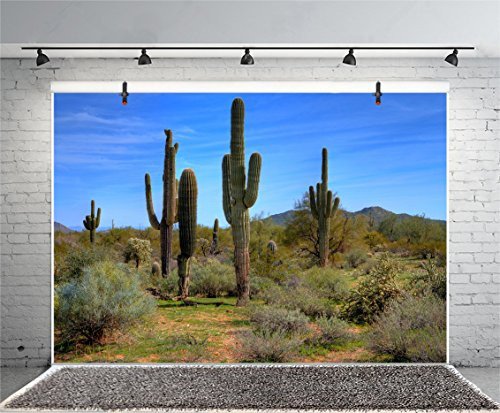 Leyiyi 6x4ft Photography Background Mexico Cactus Backdrop Wedding Party Birthday Desert Plant Saguaro Filed Dry Sand Blue Sky Cloud Cowboy American Travel Photo Portrait Vinyl Studio Video Prop