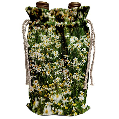 3dRose Alexis Photography - Flowers Daisy - Field of wild white daisy flowers yellow carpels green leaves - Wine Bag -wbg_319124_1- 3dRose Alexis Photography - Flowers Daisy - Field of wild white daisy flowers yellow carpels green leaves - Wine Bag -wbg_319124_1-