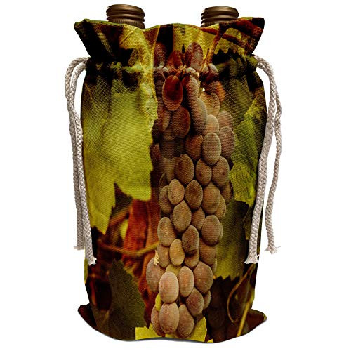 3dRose Danita Delimont - Vineyards - USA Oregon Keizer Pinot Gris grape vineyard - US38 RBR0733 - Rick A Brown - Wine Bag -wbg_146218_1-