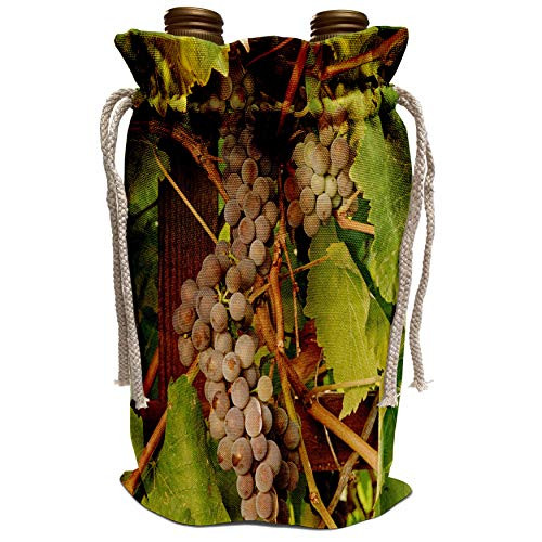 3dRose Danita Delimont - Vineyards - USA Oregon Keizer Pinot Gris grape vineyard - US38 RBR0729 - Rick A Brown - Wine Bag -wbg_146214_1-