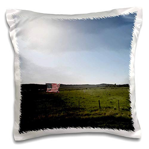 3dRose Jos Fauxtographee- Pine Valley Fourth Flag - A green meadow on the Fourth of July in Pine Valley with a flag - 16x16 inch Pillow Case -pc_308224_1- 3dRose Jos Fauxtographee- Pine Valley Fourth Flag - A green meadow on the Fourth of July in Pine Valley with a flag - 16x16 inch Pillow Case -pc_308224_1-