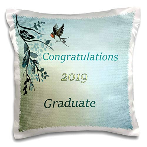 3dRose lens Art by Florene - Graduation - Image of Aqua And Yellow Vintage Congratulations 2019-16x16 inch Pillow Case -pc_310624_1-