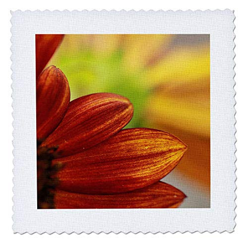 3dRose Stamp City - flowers - Macro photograph of the petals of a red and yellow sunflower. - 10x10 inch quilt square -qs_325139_1- 3dRose Stamp City - flowers - Macro photograph of the petals of a red and yellow sunflower. - 10x10 inch quilt square -qs_325139_1-