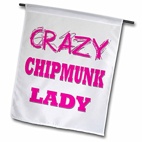 3dRose fl_174982_1 Crazy Chipmunk Lady Garden Flag 12 by 18-Inch