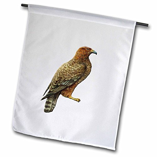 3dRose fl_170641_1 Victorian Era Bird of Prey Illustration Large Reddish Brown Bird Garden Flag 12 by 18-Inch