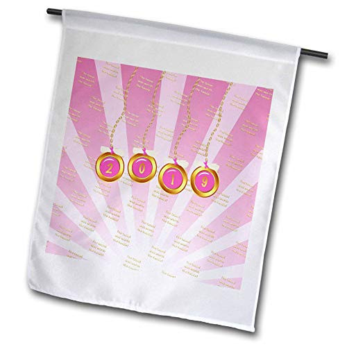 3dRose Beverly Turner Graduation Design - Diplomas on 2019 in Circles on Chains Tassel Worth The Hassle Pink - 12 x 18 inch Garden Flag -fl_308909_1-