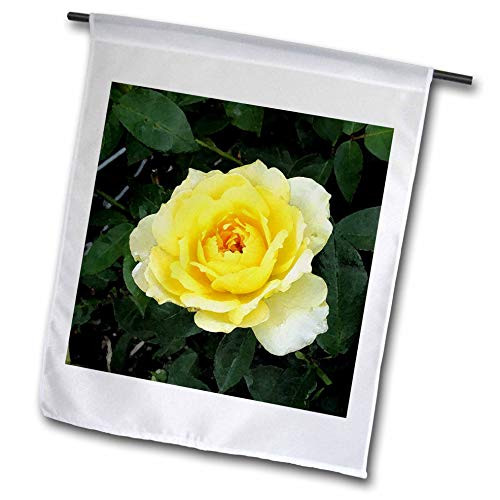 3dRose Jos Fauxtographee- Yellow Rose Watercolor - A Yellow Rose Done in a Digital Watercolor on deep Green Leaves - 12 x 18 inch Garden Flag -fl_301831_1-
